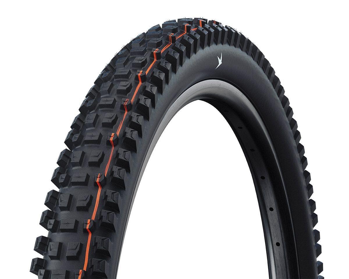 Schwalbe Albert Gravity Radial Schwalbe Albert Gravity Radial